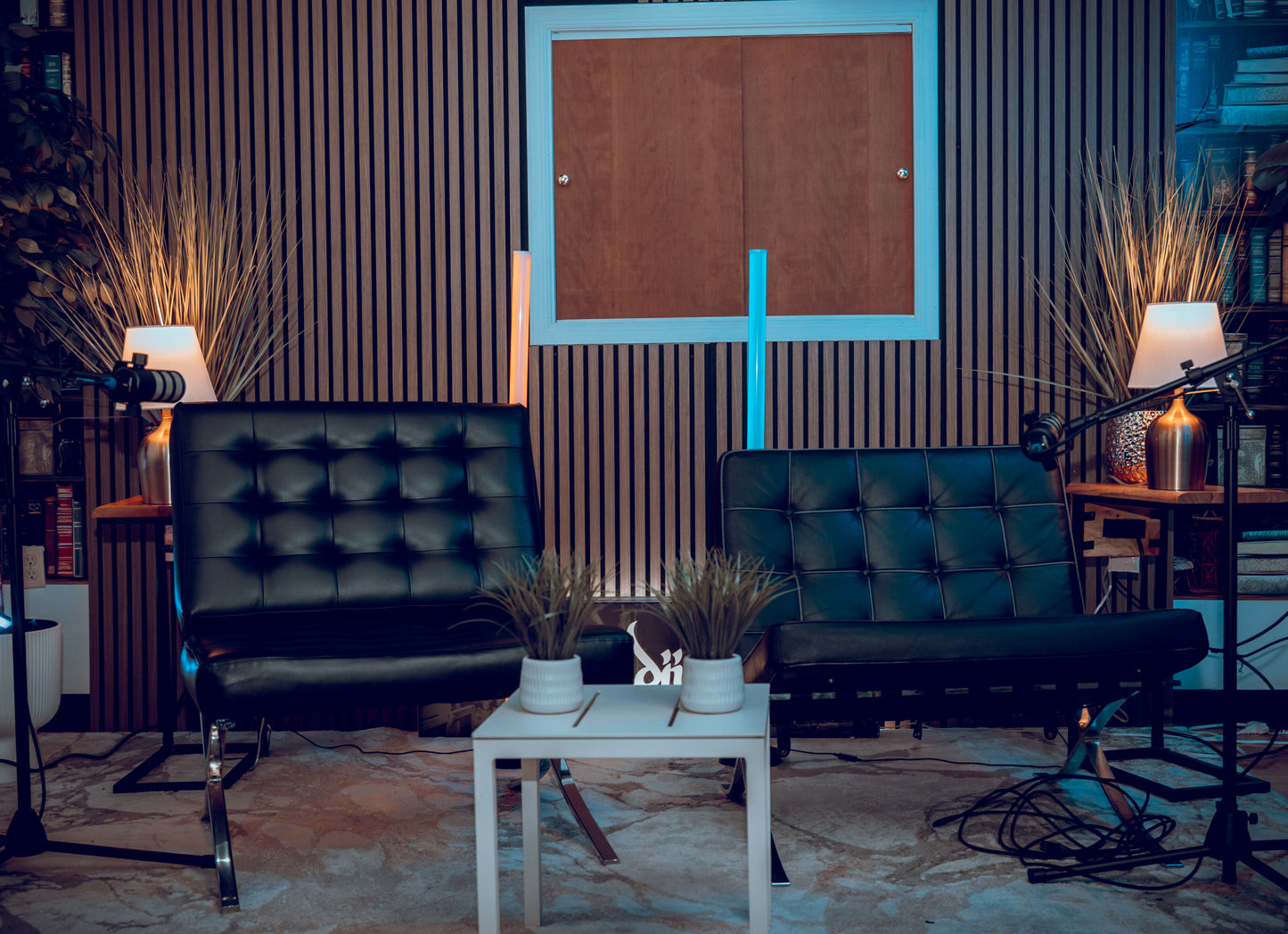 Podcast Recording (Hourly)